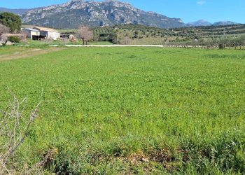 Foto 1 - Terreno agricolo via tempa di lepre
 
nd, Capaccio Paestum - foto 1