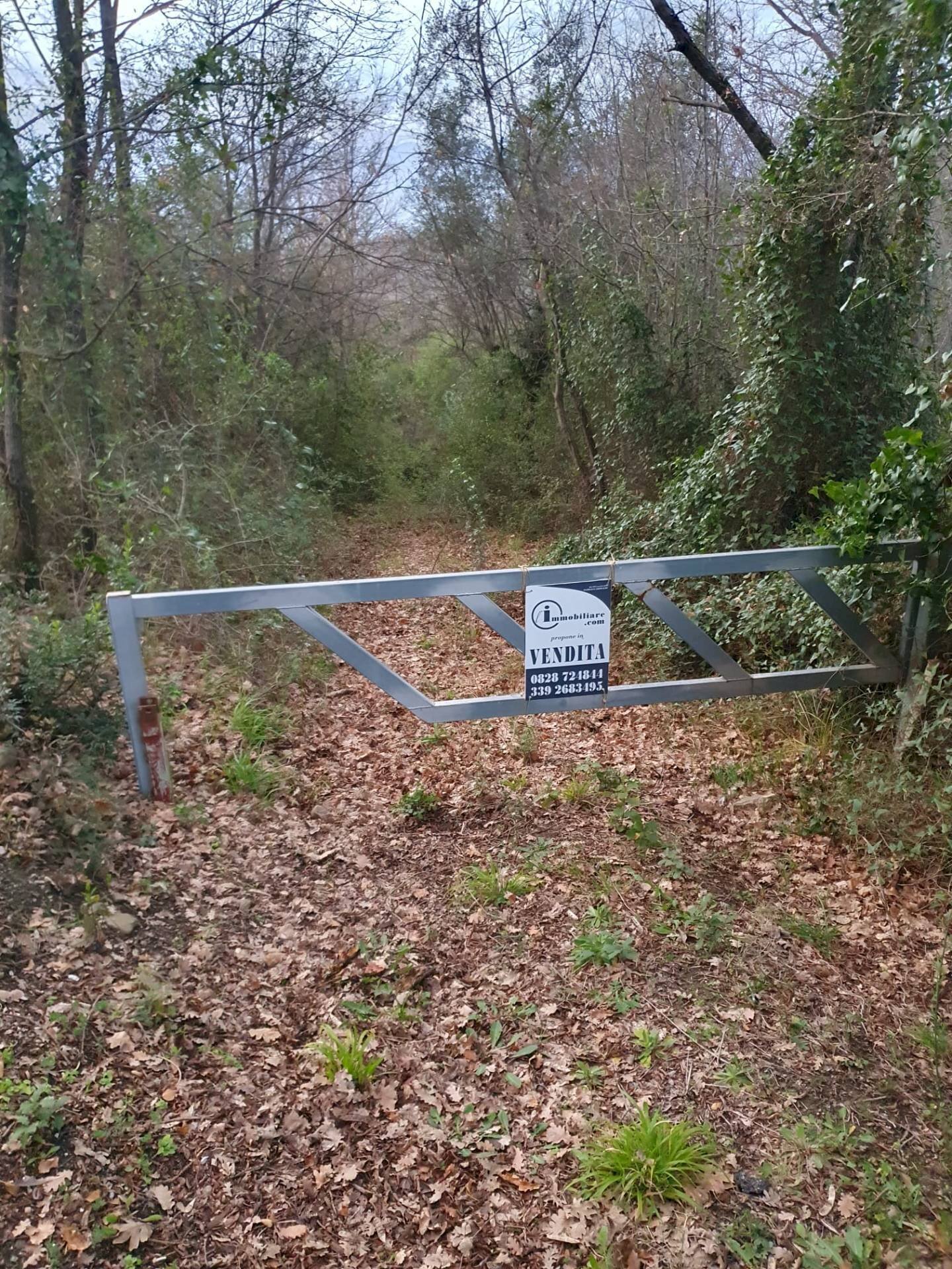 Foto 2 - Agricultural land via difesella strada provinciale
 
nd, Bellosguardo - photo 2