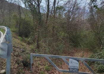 Foto 1 - Agricultural land via difesella strada provinciale
 
nd, Bellosguardo - photo 1