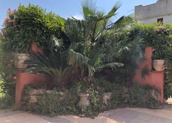 Foto 4 - Villa a Schiera strada provinciale 175
 
nd, Capaccio Paestum - foto 4