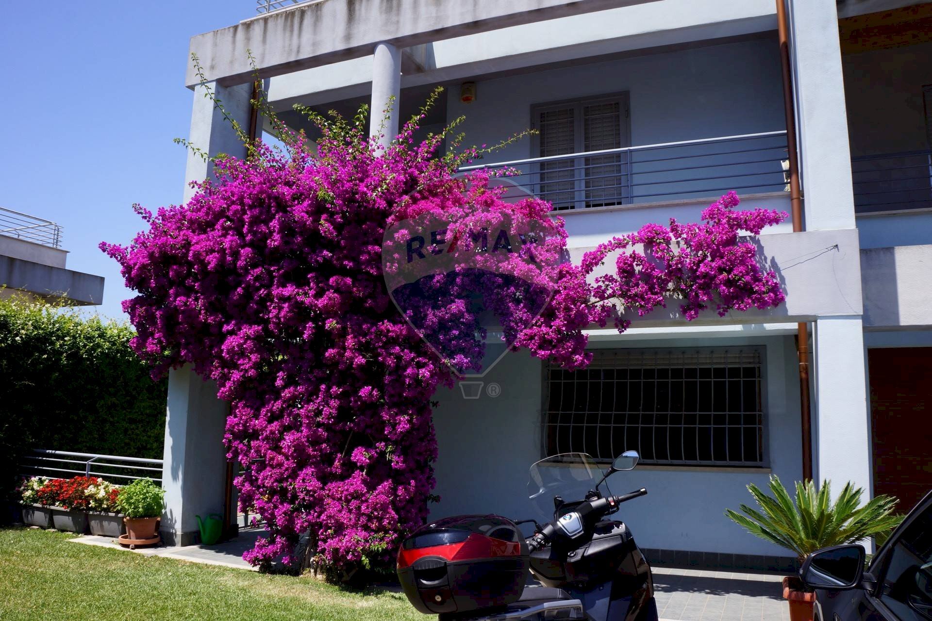 Casa all\'aperto - Villa a Schiera Via Nettunense
 
223, Anzio - foto 1