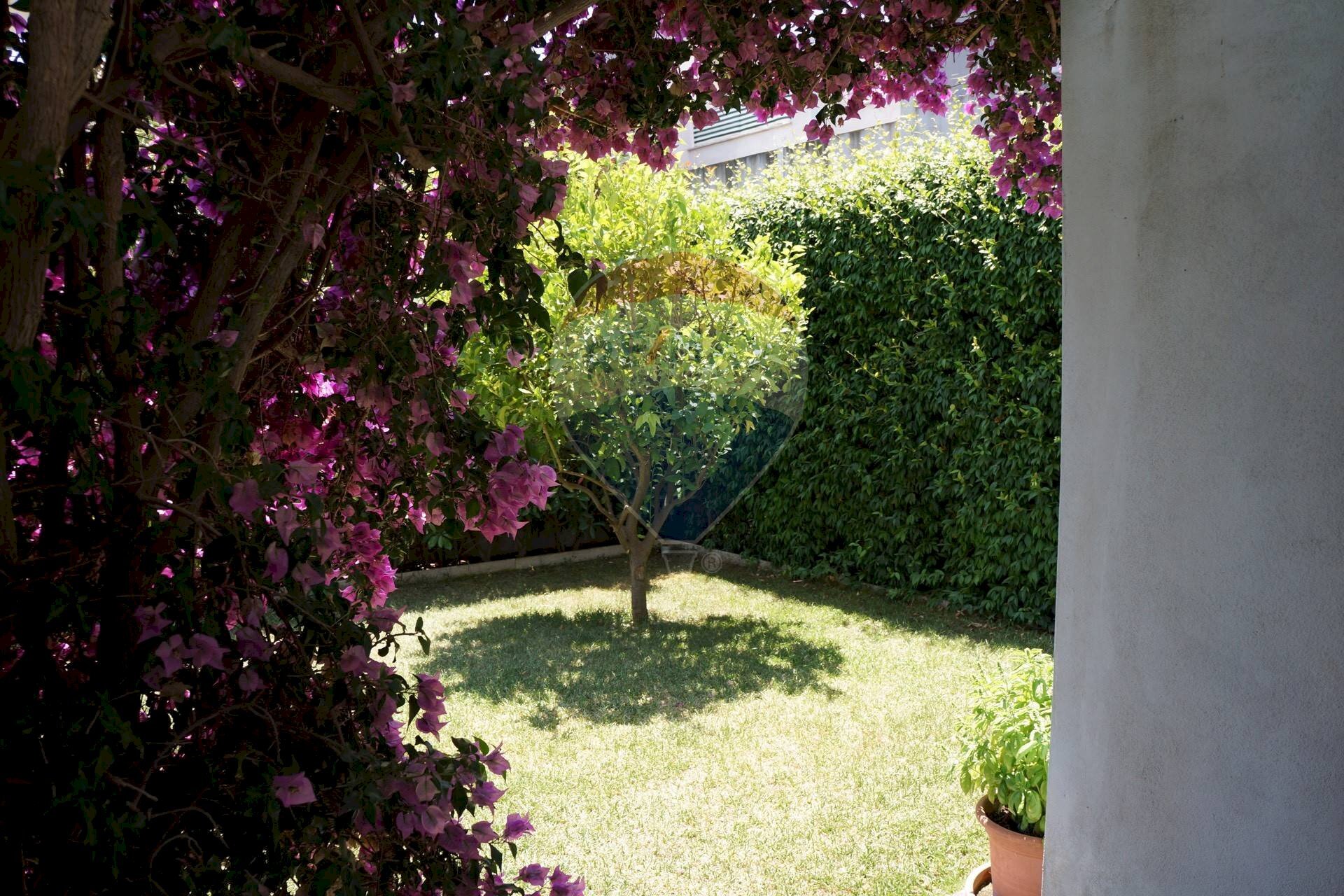 Giardino - Villa a Schiera Via Nettunense
 
223, Anzio - foto 3