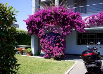 Giardino - Villa a Schiera Via Nettunense
 
223, Anzio - foto 2