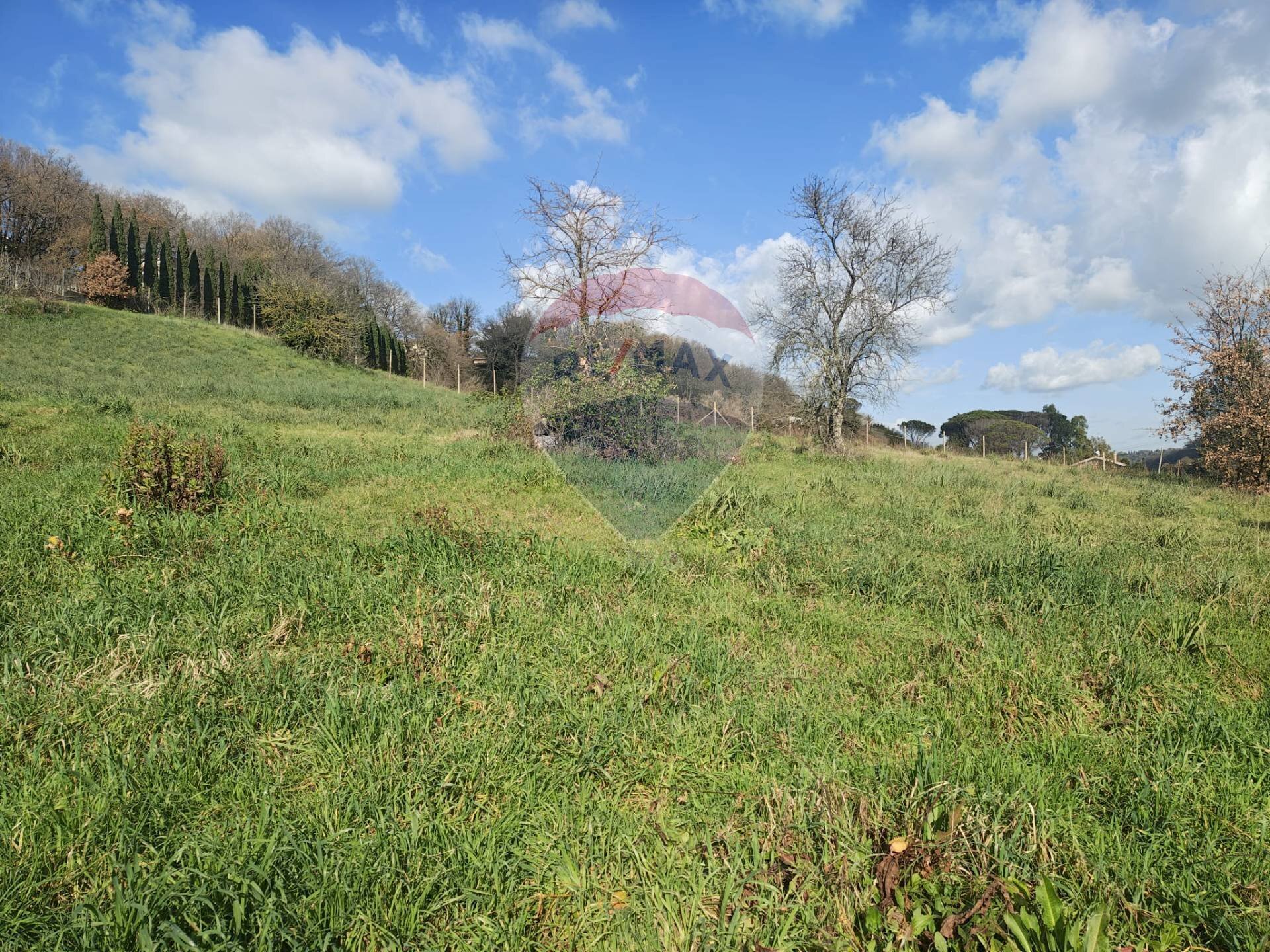 Giardino - Building land Via Austis, Fiumicino - photo 3