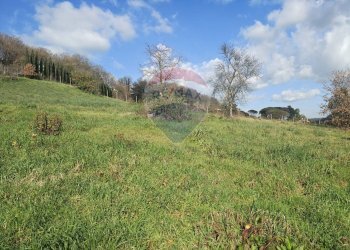 Giardino - Terreno edificabile Via Austis, Fiumicino - foto 3