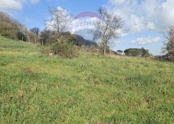 Giardino - Terreno edificabile Via Austis, Fiumicino - foto 4