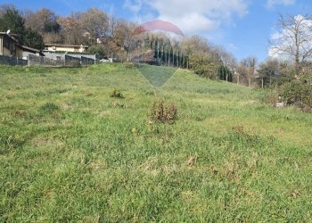 Giardino - Terreno edificabile Via Austis, Fiumicino - foto 7