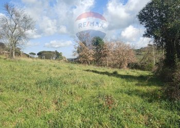 Giardino - Terreno edificabile Via Austis, Fiumicino - foto 10