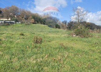 Giardino - Terreno edificabile Via Austis, Fiumicino - foto 12