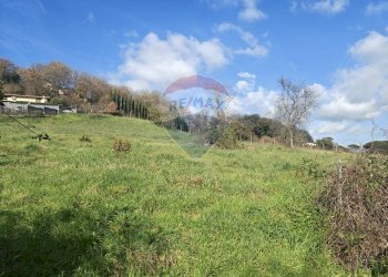 Giardino - Terreno edificabile Via Austis, Fiumicino - foto 16