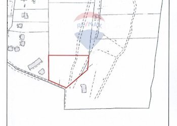 Pianta 2D - Terreno edificabile Via Austis, Fiumicino - foto 18