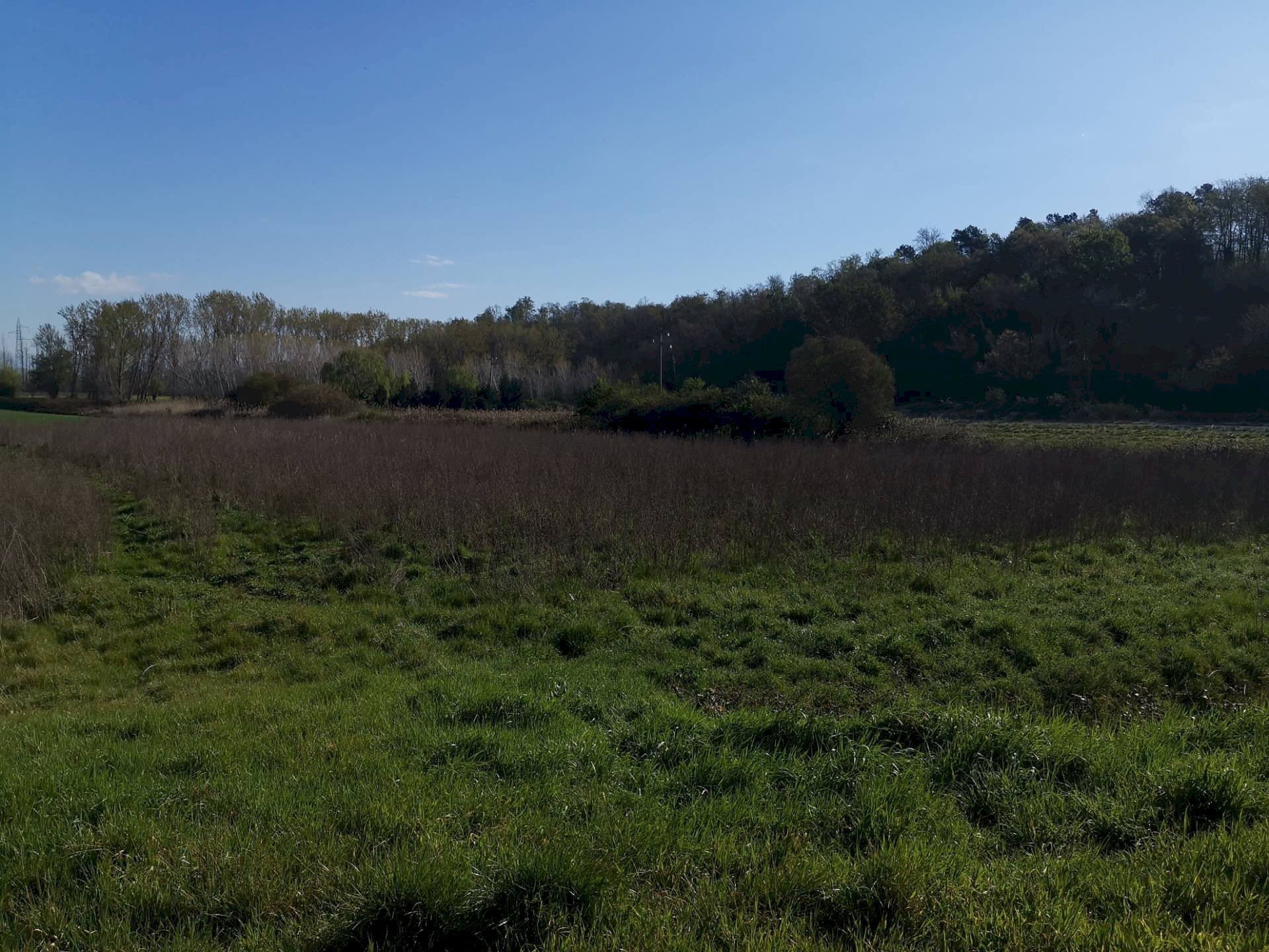 Foto 1 - Agricultural land via Del puntone, Bientina - photo 1