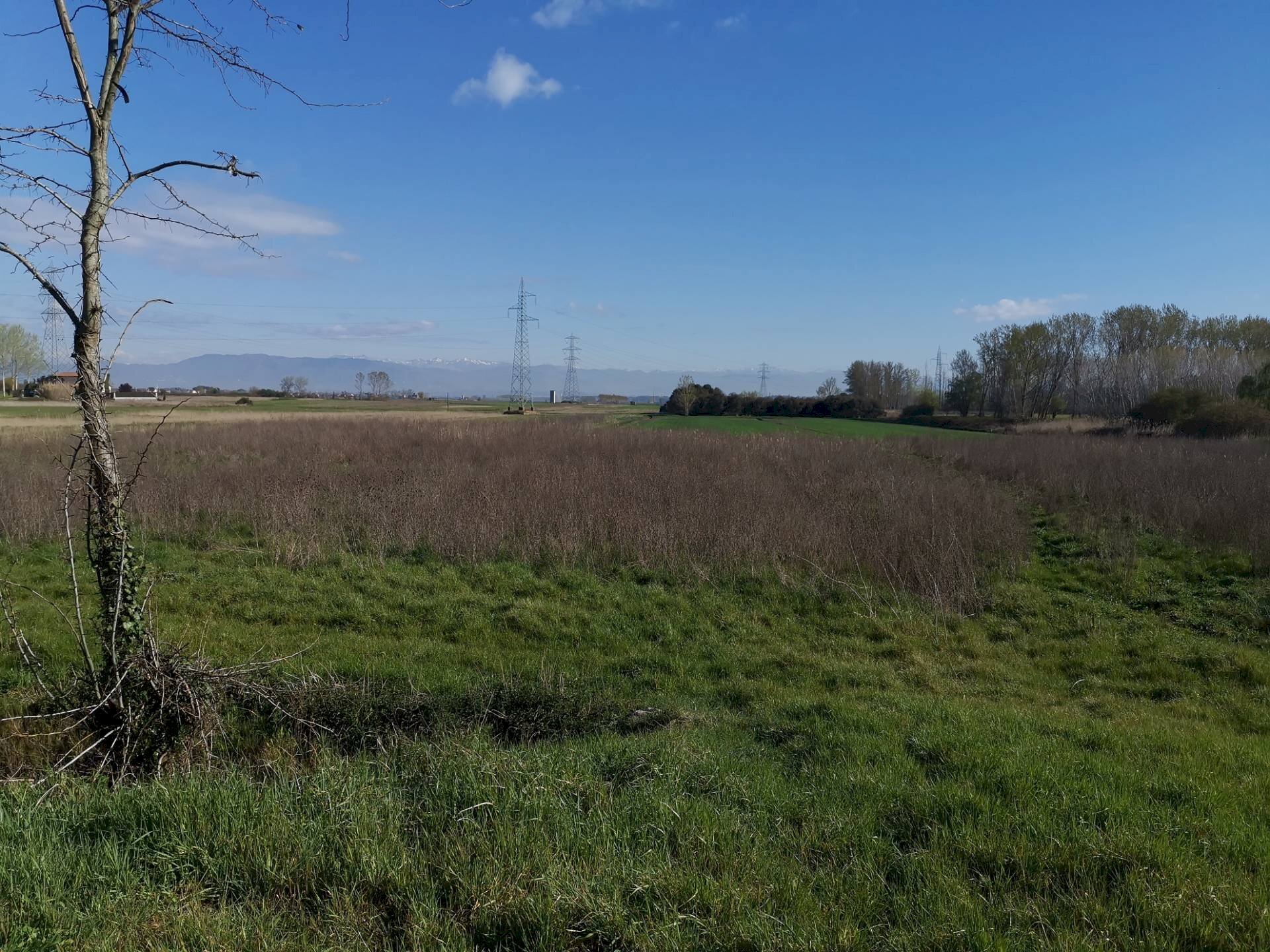 Foto 3 - Agricultural land via Del puntone, Bientina - photo 3