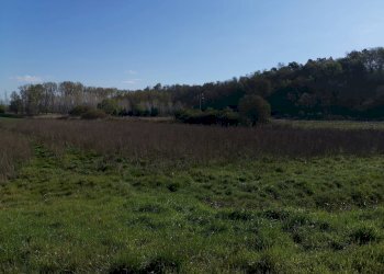 Foto 1 - Agricultural land via Del puntone, Bientina - photo 1