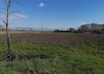 Foto 3 - Agricultural land via Del puntone, Bientina - photo 3