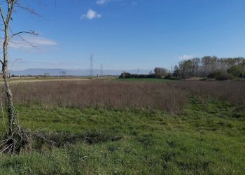 Foto 5 - Agricultural land via Del puntone, Bientina - photo 5