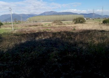 Foto 8 - Agricultural land via Del puntone, Bientina - photo 8