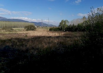 Foto 9 - Agricultural land via Del puntone, Bientina - photo 9