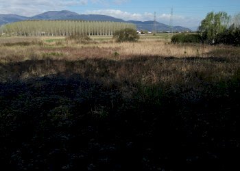 Foto 10 - Agricultural land via Del puntone, Bientina - photo 10