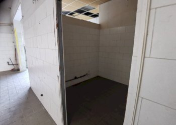 Foto 11 - Attività Commerciale via valdera, Ponsacco - foto 11