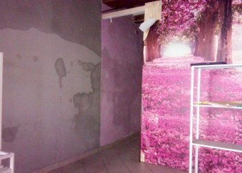 Foto 5 - Locale Commerciale corso giacomo matteotti, Ponsacco - foto 5