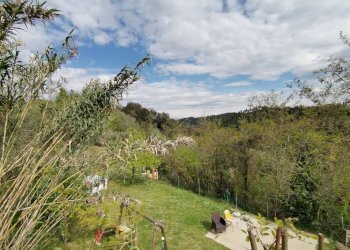 Foto 21 - Casa indipendente via usigliano, Palaia - foto 21