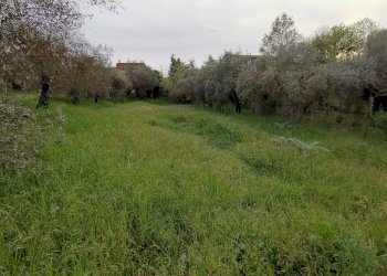 Foto 14 - Independent house via di bientina, Santa Maria a Monte - photo 14