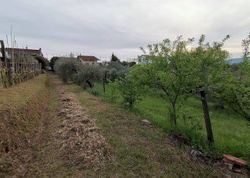 Foto 15 - Independent house via di bientina, Santa Maria a Monte - photo 15