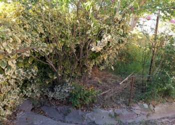 Foto 22 - Casa indipendente Via del Borghetto, Cascina - foto 22