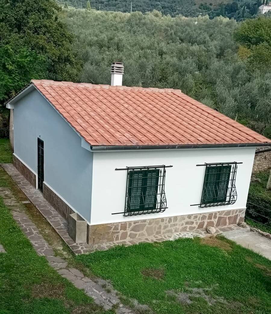 Foto 2 - Casa indipendente VIA DEI MADONNONI, Calci - foto 2