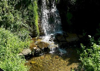 Foto 14 - Casa indipendente VIA DEI MADONNONI, Calci - foto 14