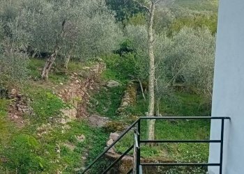 Foto 12 - Casa indipendente VIA DEI MADONNONI, Calci - foto 12