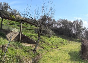 Foto 30 - Casa indipendente VIA DI BADIA, Buti - foto 30