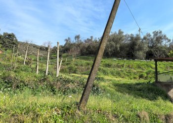 Foto 31 - Casa indipendente VIA DI BADIA, Buti - foto 31