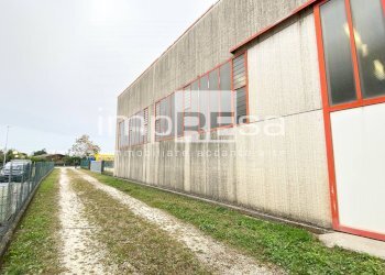 Foto 3 - Magazzino Ponzano Veneto - foto 3