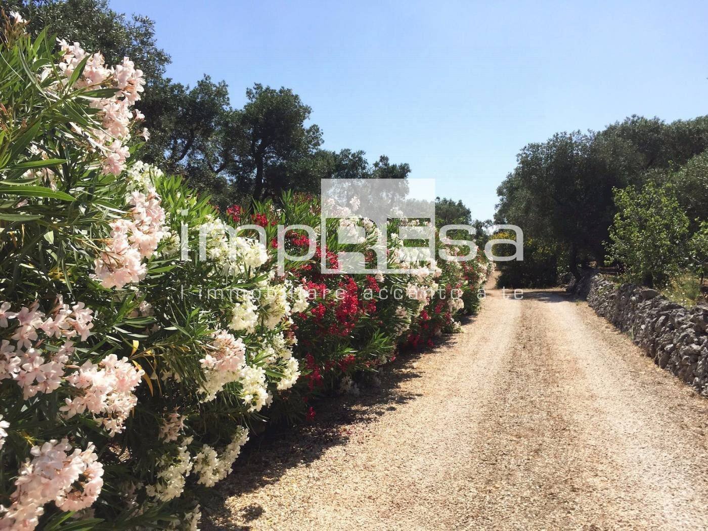 Foto 1 - Terreno agricolo Carovigno - foto 1