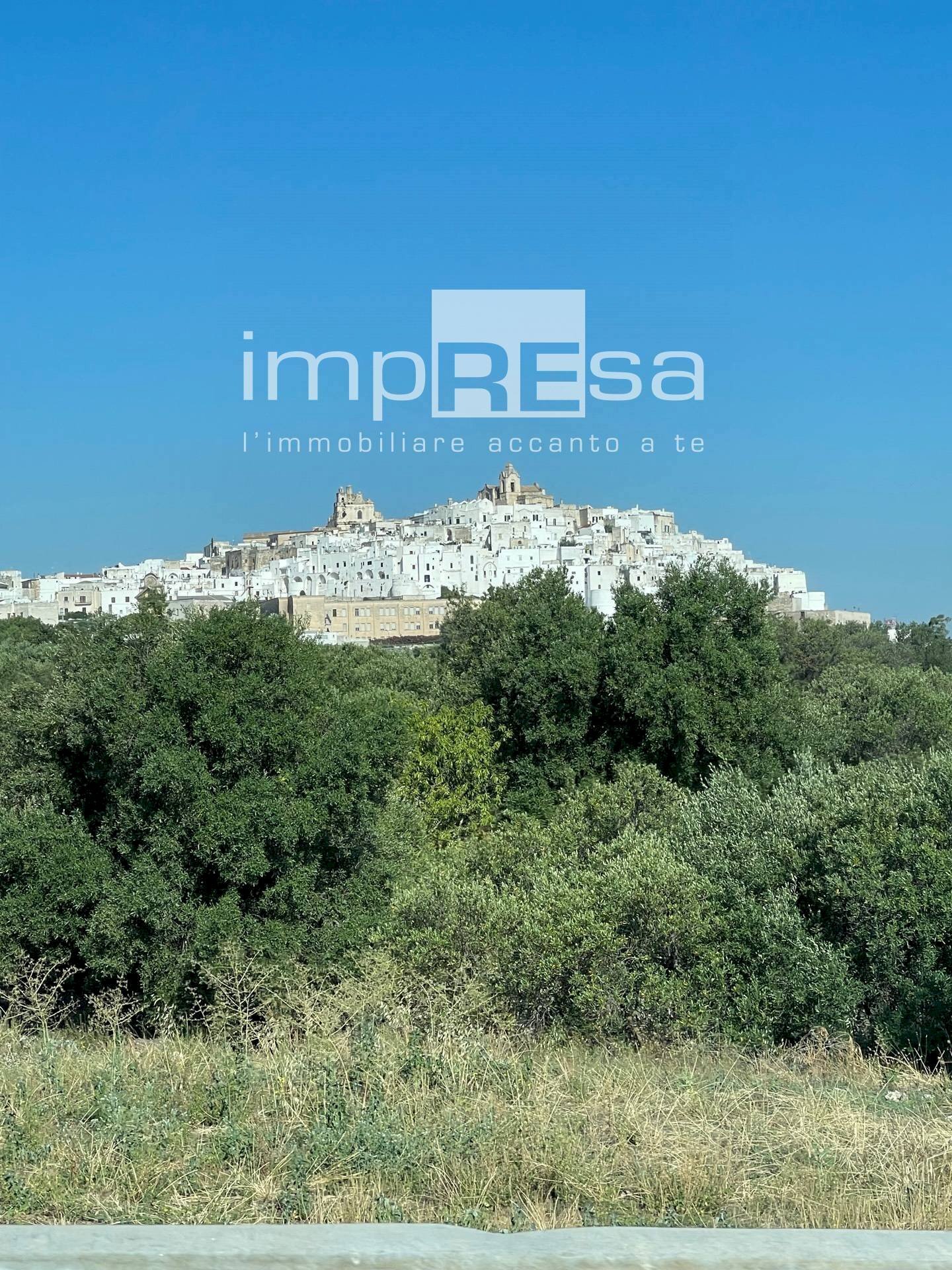 Foto 2 - Terreno agricolo Carovigno - foto 2