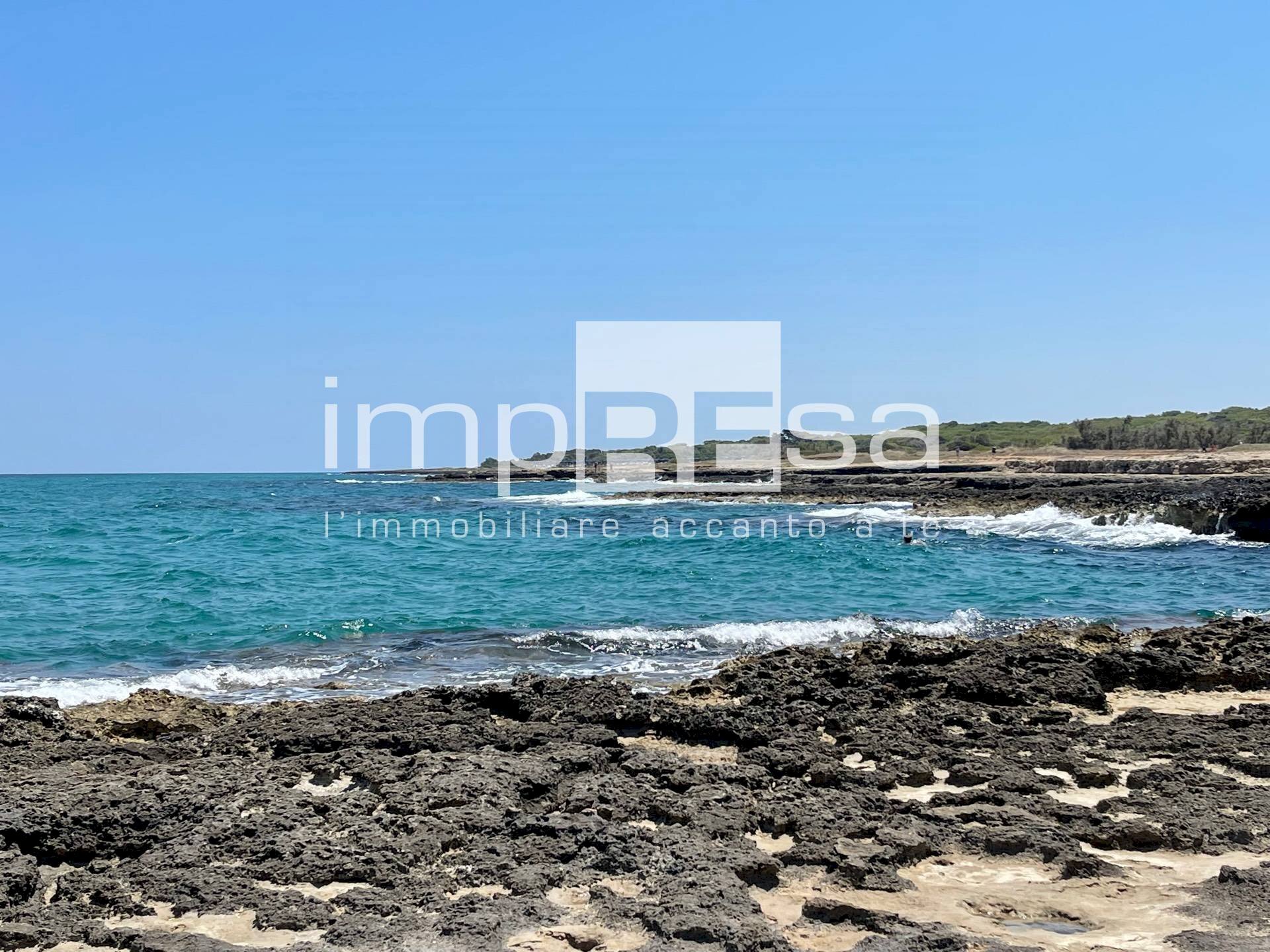 Foto 3 - Terreno agricolo Carovigno - foto 3