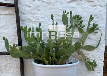 Foto 4 - Terreno agricolo Carovigno - foto 4