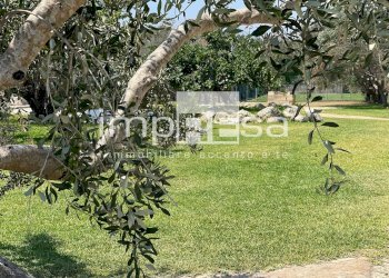 Foto 6 - Terreno agricolo Carovigno - foto 6