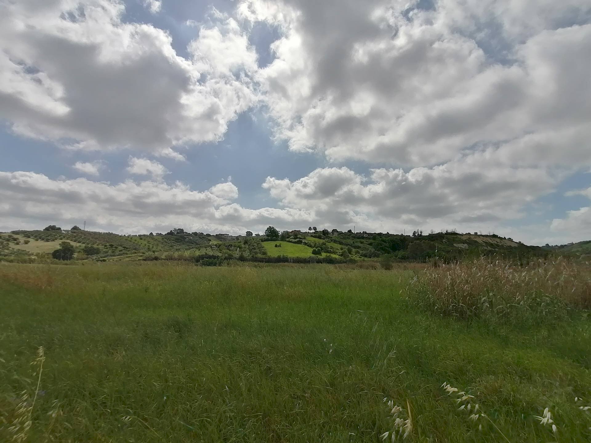 Foto 2 - Terreno agricolo via della Dogana, Monterotondo - foto 2