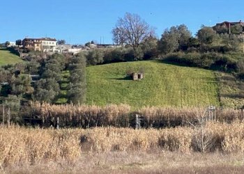 Foto 1 - Terreno agricolo via della Dogana, Monterotondo - foto 1