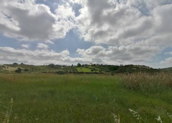 Foto 2 - Terreno agricolo via della Dogana, Monterotondo - foto 2