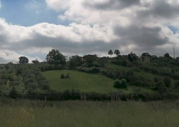 Foto 3 - Terreno agricolo via della Dogana, Monterotondo - foto 3