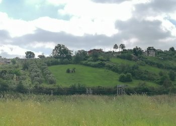 Foto 4 - Terreno agricolo via della Dogana, Monterotondo - foto 4