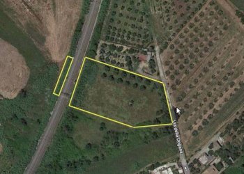 Foto 5 - Terreno agricolo via della Dogana, Monterotondo - foto 5
