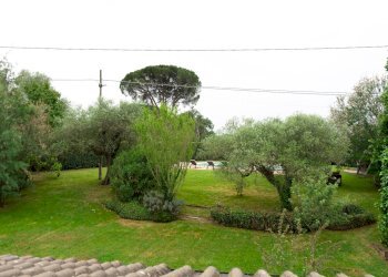 Foto 45 - Villa strada provinciale 26a
 
274, Montelibretti - foto 45