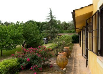 Foto 81 - Villa strada provinciale 26a
 
274, Montelibretti - foto 81