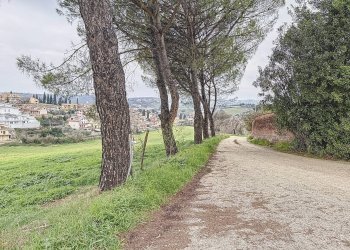 Foto 30 - Villa via delle Molette
 
100, Guidonia Montecelio - foto 30