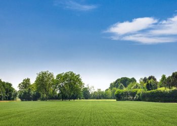 Foto 7 - Terreno agricolo via san matteo
 
snc, Monterotondo - foto 7